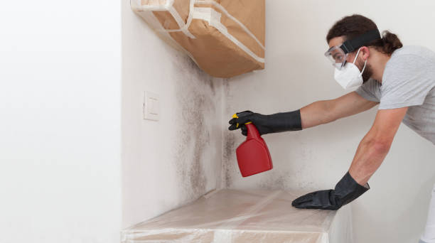Professional Crawl Space Mold Removal technician working in Monmouth Beach, NJ