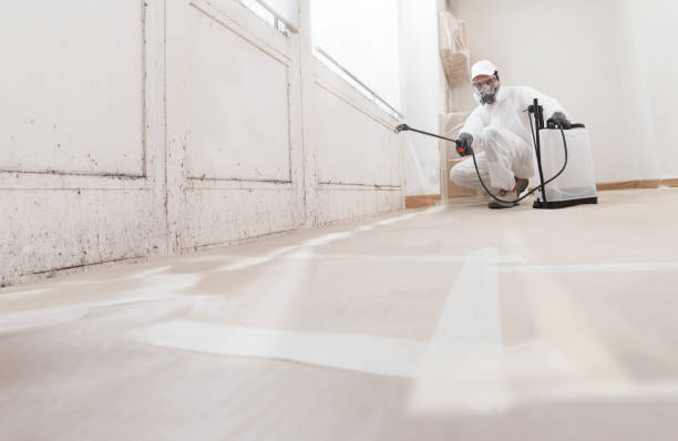 24/7 Emergency Crawl Space Mold Removal experts in Monmouth Beach, NJ