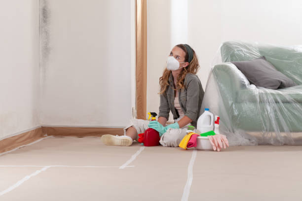 Reliable Crawl Space Mold Removal contractor in Monmouth Beach, NJ by WQB Mold Removal