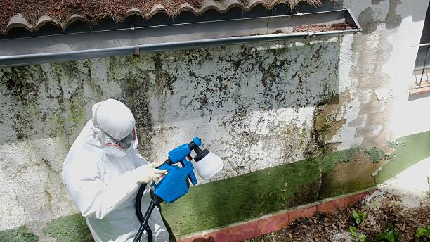 Top rated local Crawl Space Mold Removal specialists in Monmouth Beach, NJ